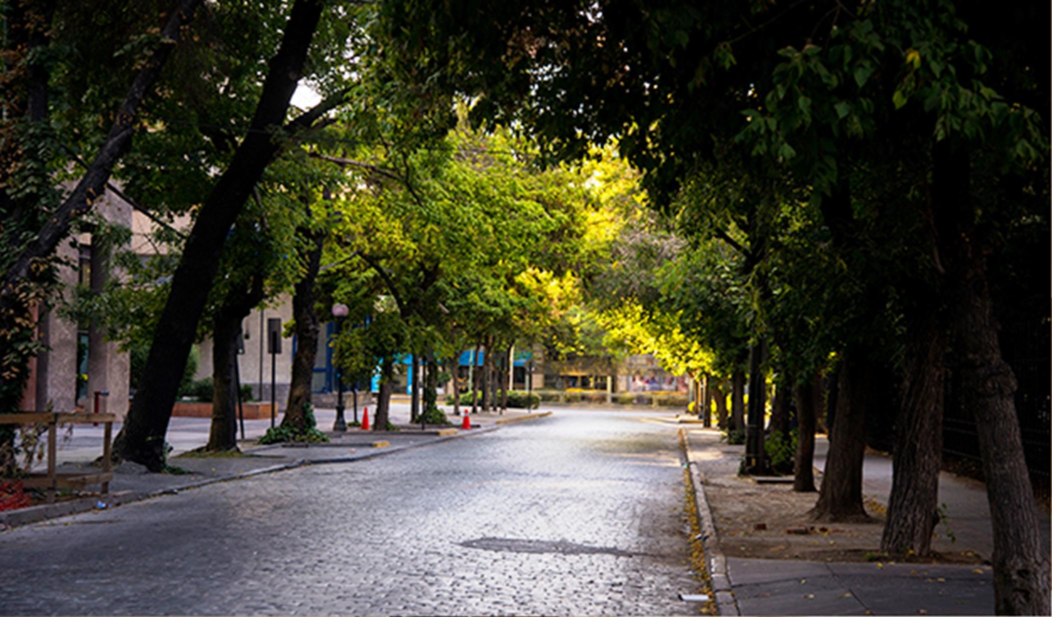 Solace Hotel Σαντιάγκο Εξωτερικό φωτογραφία A street in the neighborhood