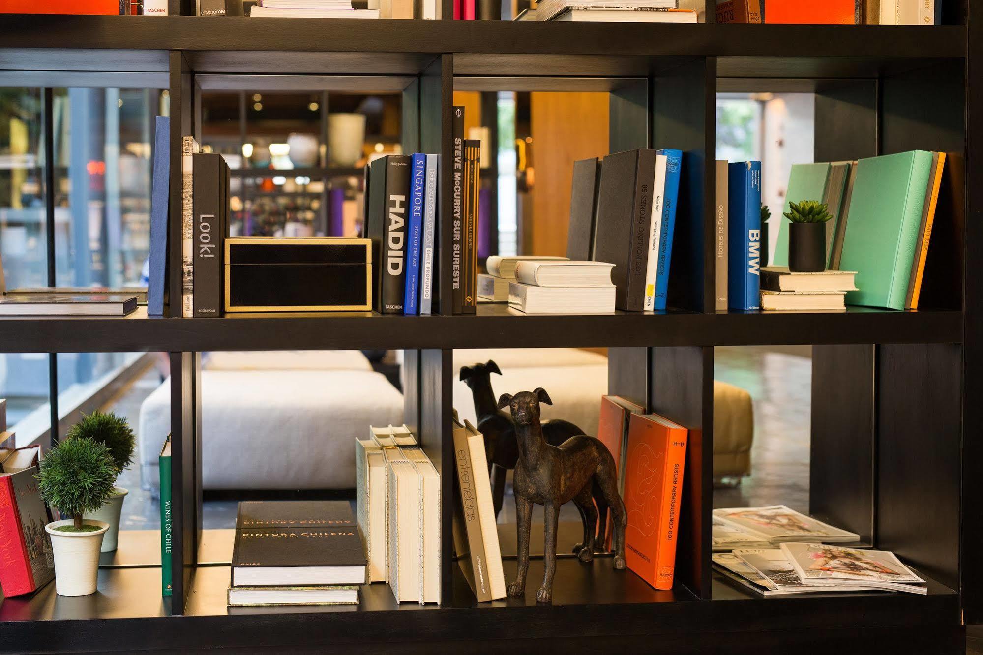 Solace Hotel Σαντιάγκο Εξωτερικό φωτογραφία A dog in a library